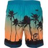 Quiksilver Paradise Volley 17 Aνδρικό Μαγιό, Μέγεθος: M, 2 image