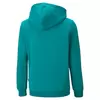 Puma Ess+ 2 Col Big Logo Hoodie Fl , Μέγεθος: 128cm, 2 image