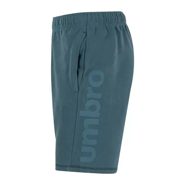 Umbro Linear Logo Graphic Aνδρικό Σορτς, Μέγεθος: XL, 2 image
